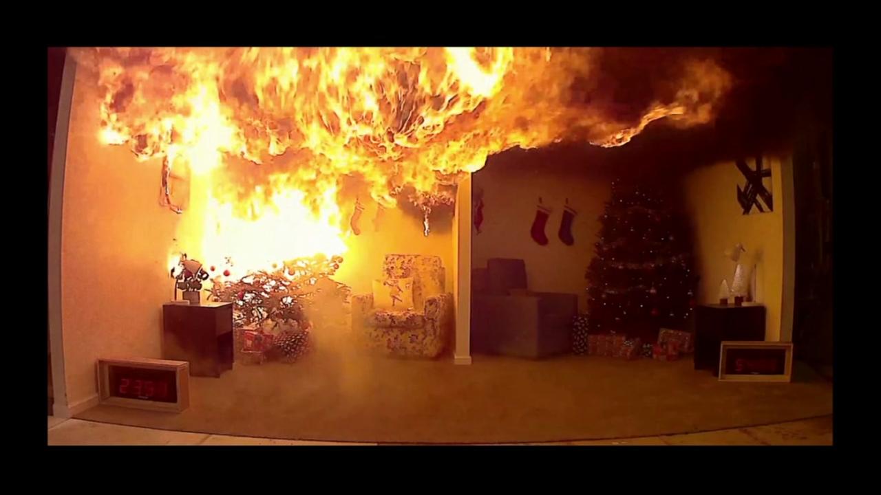 dangers of not watering your christmas tree abc11 com dangers of not watering your christmas tree abc11 com