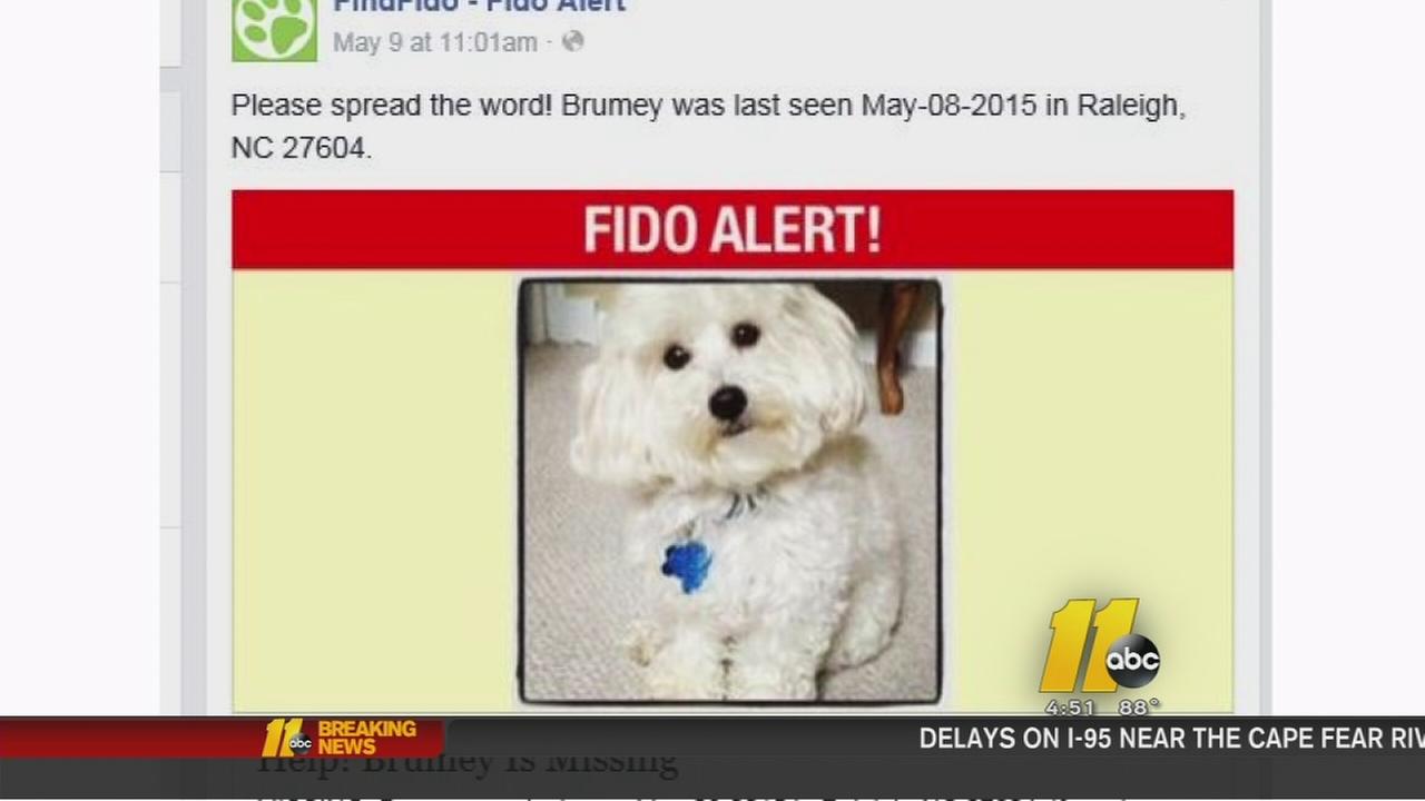 App reunites lost pets with their owners