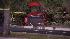Driver killed in Ferrari accident
