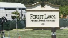 Jackson Forest Lawn