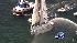 Teen returns after sailing around world
