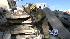 L.A. search-rescue team demonstrates response :: L.A. search-rescue team demonstrates response
