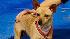 Thursdays Pet of the Week is a 2-year-old female Chihuahua mix named Allie. She is a shy, sweet dog that needs a good home.
