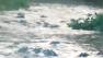 A fisherman in GA caught a lot more than fish on camera when he recorded hundreds of gators in a rare feeding frenzy.