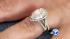 Nearly $40,000 hung in the balance when a cat knocked a new brides 4-carat diamond ring into the toilet.