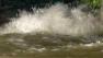 Around 20 customers were out of water service Monday Morning after a water main broke in Westwood.