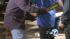 Unclear how student got gun into Gardena High :: Gardena High Schools security consists of handheld metal-detector magnetic wands used by school staff on campus.