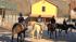 Hidden LA: Paramount Ranch :: Paramount Ranch continues to attract productions, fans of western films and visitors from throughout L.A.