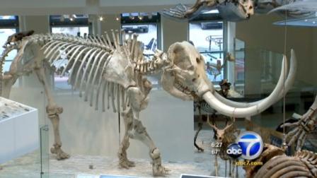 The Board of Supervisors approved hikes in admission and parking at the Natural History Museum and the Page Museum.