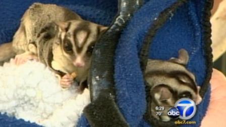 SeaWorld displayed its animals at the State Capitol in an effort to educate children.