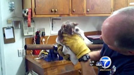 Firefighters had to cut a pipe in half to rescue a little kitten that got stuck in a pipe in Redding, California.