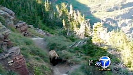 The tourist who was killed by a grizzly bear at Yellowstone National Park was identified as a Torrance man.
