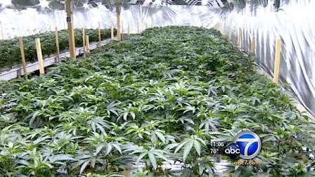 Marijuana supporters are now allowed to circulate petitions to put an initiative on the June or November ballot next year.