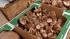 Rebecca Katz, author of Cancer-Fighting Kitchen...