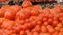 Rebecca Katz, author of Cancer-Fighting Kitchen...