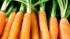 Carrots are one of the top cancer fighting foods, according to Rebecca Katz, author of Cancer-Fighting Kitchen.