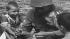 Witness American heroes: Nisei Soldiers (2) :: David Ono tells the stories of the Nisei soldiers of WWII and how their bravery and dignity changed lives. (pt. 2)