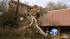 Trees fall in neighborhoods across Los Angeles :: The winds were so bad in Griffith Park, officials had to shut it down over concerns of high fire danger.