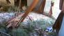 State officials toured communities Friday that suffered the most damage from a recent severe windstorm.