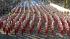 The Arcadia High School marching band passes the...