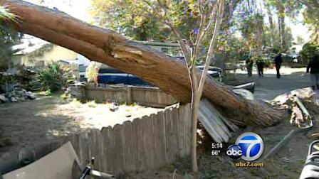A Pasadena outreach center will help those affected by Novembers windstorm get disaster loan money starting Monday.