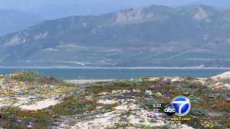 The state is looking for people or groups who can run any of the 70 parks slated for closure due to $22 million in cuts.