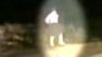 A fugitive in Georgia led police on a high-speed chase, all while wearing not a stitch of clothing.