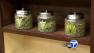 The owner of an Upland medical marijuana dispensary thats already been shut down twice is battling the feds.