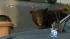 A 400-pound meatball-loving black bear caused a commotion on Tuesday, roaming around a neighborhood in Montrose.