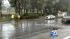 Storm causes tree to fall in Rancho Cucamonga :: In Rancho Cucamonga, authorities worked to clean up a tree that fell because it was so oversaturated with water.