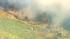 A brush fire erupted in Acton near Soledad...
