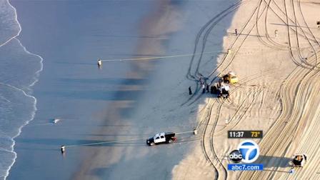 Police are shown investigating the Santa Monica shore where a body was found by a passerby Tuesday, June 5, 2012.