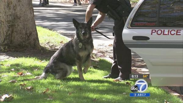 Glendale K-9s in the Park set for Saturday