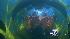 Undersea Voyager Project