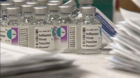 The influenza virus vaccine is seen in this undated file photo.