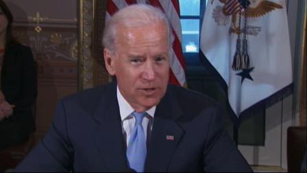 Vice President Joe Biden is seen in this undated file photo.