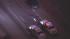 Inland Empire pursuit suspect surrenders ::