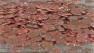 Pennies are seen.
