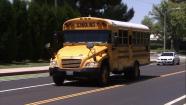 A school bus is seen in this undated file photo.