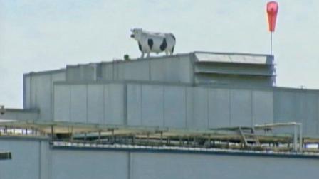 Central Valley Meat Company plant is seen in this undated file photo.