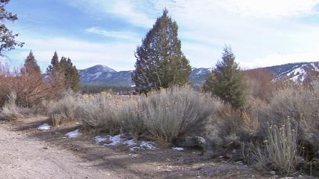 A slight dusting of snow is seen on the mountains of Big Bear Lake on Friday, Feb. 7, 2014.