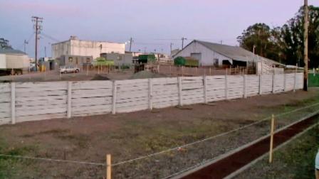 Rancho Feeding Corporation in Petaluma, Calif., is seen in this photo from Jan. 2014.