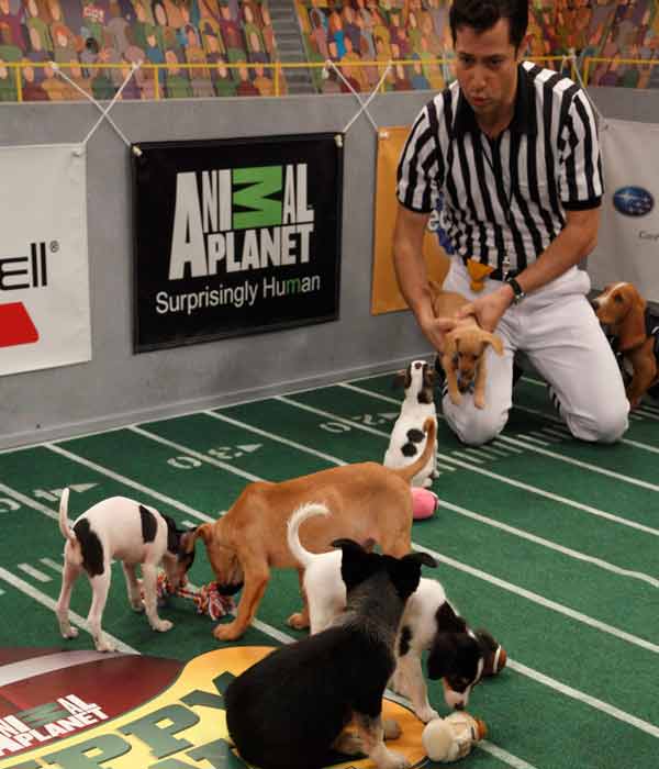 Animal Planet provided KABC-TV this image of Ref...
