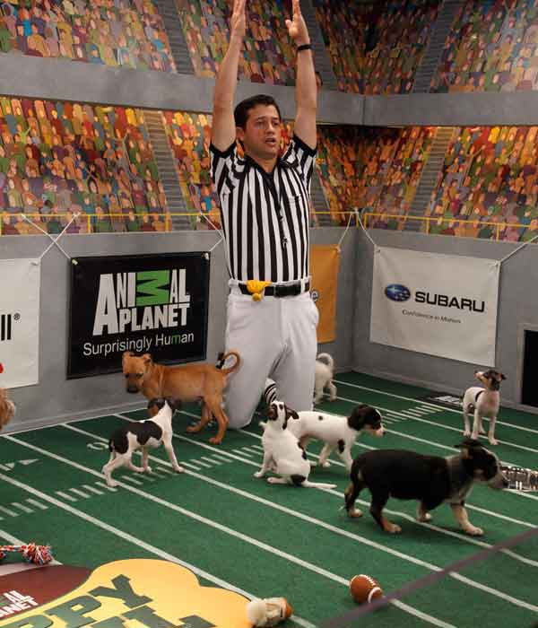 Animal Planet provided KABC-TV this image of Ref Dan Schachner calling a touch down.