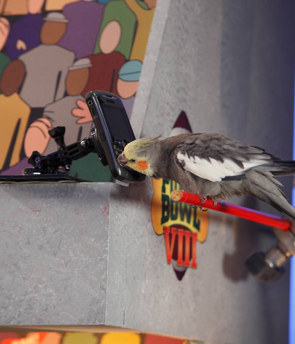 Animal Planet provided KABC-TV this image of a...