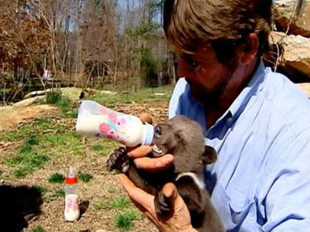 A trio of rare cubs recently made their debut at...