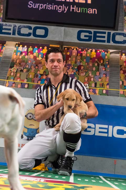 A referee talks to a dog during Animal Planet's...