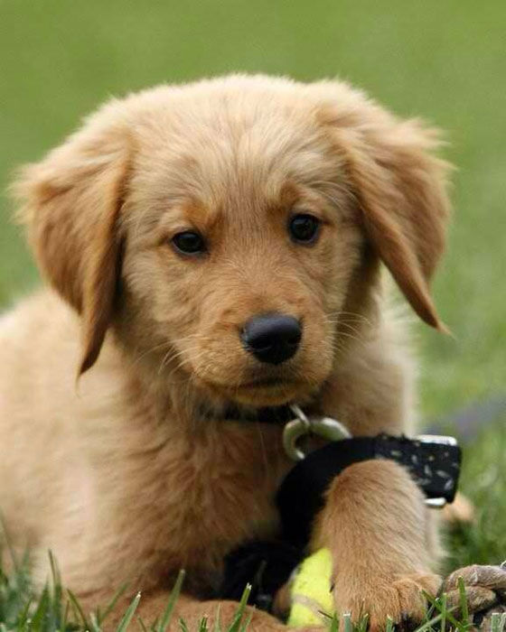 Deb Carney Carlson posted this photo of her...