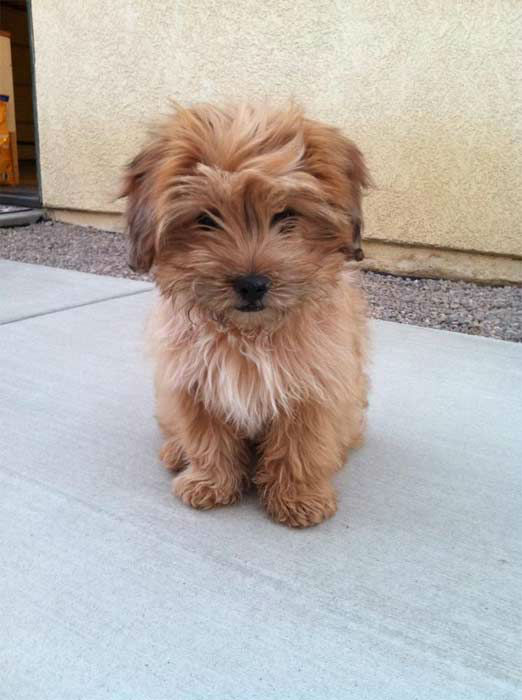 Kelly Duran Gomez posted this picture of her...