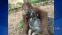 An orangutan and dog formed an unlikely bond in...